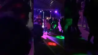 Disco