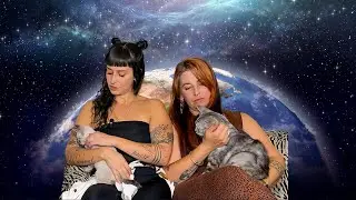 Childless cat ladies can save the planet