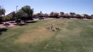 Park-YSX6-Raw.mpg
