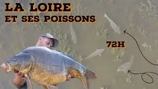 72H en FLEUVE ,les POISSONS répondent PRESENTS !!