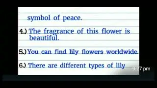 essay or paragraph on lily flower in English