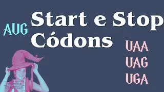 Start e Stop C&oacute;dons