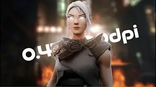 0.41 800DPI
