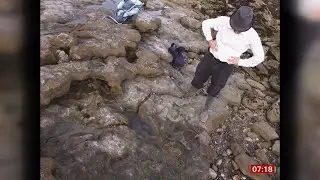 Dinosaur footprints found in Folkestone cliffs and coast (UK) - BBC News - 20th June 2021