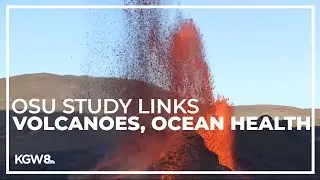 OSU researchers find link between volcanic activity, climate and ocean health