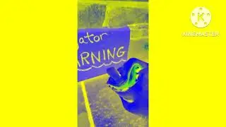 Shark Puppet vs alligator Effects