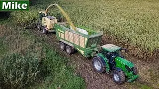 2019 | Mais h&auml;ckseln mit Krone BiG X 1100, 12 Rows | LU Kappelhoff | Mais hakselen.