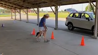 Luigi AKC Intermediate Rally Course #1