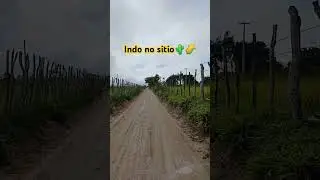 #vidanointerior #youtubeshorts