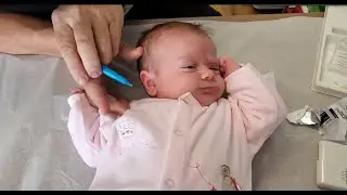 COMO FURAR ORELHA DE BEBE - Mari Visconti