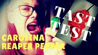 CAROLINA REAPER PEPPER #TasteTest