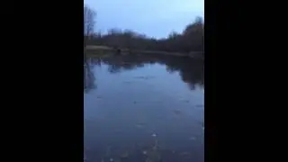 How to scout ducks