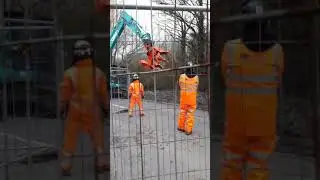Harvil road tree killing