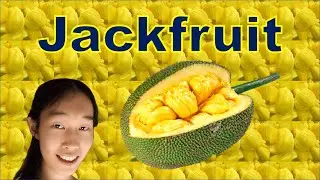 JACKFRUIT || Fruit Review 19