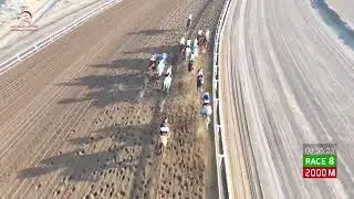 Race 8 - 14th Meeting - Rahba - 29/01/2026