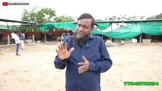 dairy in Hyderabad |dairy farm |￼@Dairyline