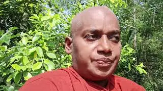 නිවන් පිණිසයි.
