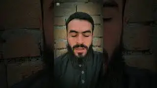 Cheap Online Course? Get Ready for an Expensive Regret! | The Real Qamar