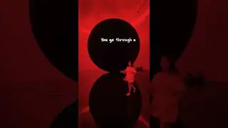 Discover the MAGICAL World of TeamLab Abu Dhabi