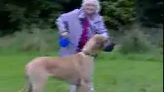 woman with dog