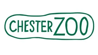 CHESTER ZOO| What do zoos do for wildlife conservation? FT Dr Simon Dowell (science director)