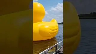 &ldquo;When A Rubber Duck Goes Big &rdquo; #duck #lake #funny
