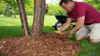 June Deals at Fleet Farm (6.15-6.23)