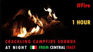 Fire | 1 hour of crackling campfire sounds at night for relaxing, sleeping, meditating, studying