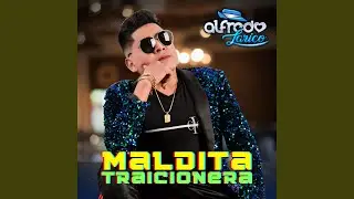 Maldita Traicionera (Oficial)