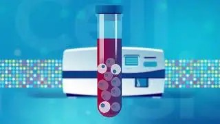 Rare Cells Analysis with Single Cell Precision - Discover Menarini Silicon Biosystems