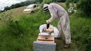 Taranov Split Swarm Prevention