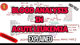 Acute Leukemia Blood Analysis EXPLAINED: Diagnostic Algorithm & Lab Markers (Beginner&rsquo;s Guide)