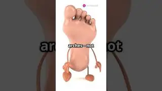 👣 Flat Feet or High Arches? Find Your Foot Type! 🏃&zwj;♂️#anatomyreel #bonesandjoints