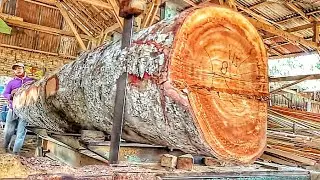 Sawing a Rare & Unique Oak Log at the Sawmill 🌳
