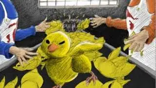 SAFKAS Pick the Corn Intro auf deutsch