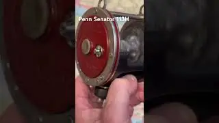 Рыболовная катушка дня Penn Senator 113H