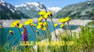 LULE MALI-SPED UP