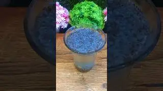 Sabja drink#chiaseedsdrink #drink#healthydrink #summerdrink#recipe #shorts#YouTube shorts#