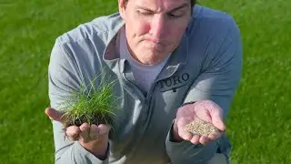 Should You Grow Grass Seed BEFORE You Plant it???