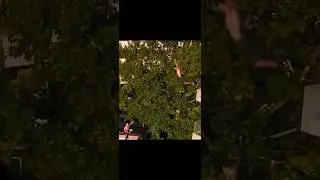 A vil&aacute;g legdurv&aacute;bb parkour &eacute;s extr&eacute;msport kih&iacute;v&aacute;sai 2. r&eacute;sz A Manpower gap
