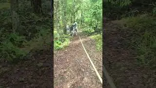Käytätkö kävelymattoa? @itsehoitoselfhelp