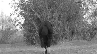 Ninjutsu - stretching exercise #1