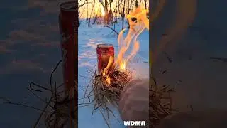 как сделать мини печку #viral #россия #edc #buschraft #выживание #forest #india