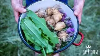 Forest to Plate: Foraging for natural food in Brussels