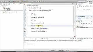 what are Variables and Data Types in java