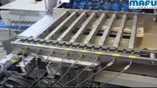 MAFU GmbH Automation - DRUM (Bolzen) - Entwirrtechnik
