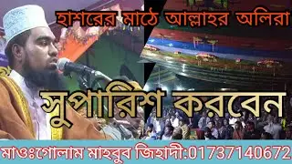 শাফায়াতের কান্ডারী আমার দয়াল নবীজি মাওঃগোলাম মাহবুব জিহাদী golam mahabub jihadiইসলামীক মহা সম্মেলন