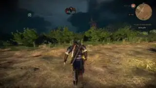 The Witcher 3 Geralt vs Griffin of White Orchard