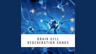 Repair Nerve Connections