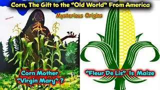 Maize - The Gift Of The Great Spirit To The Amaru Khans / Fleur De Lis / Corn In The Ancient World !
